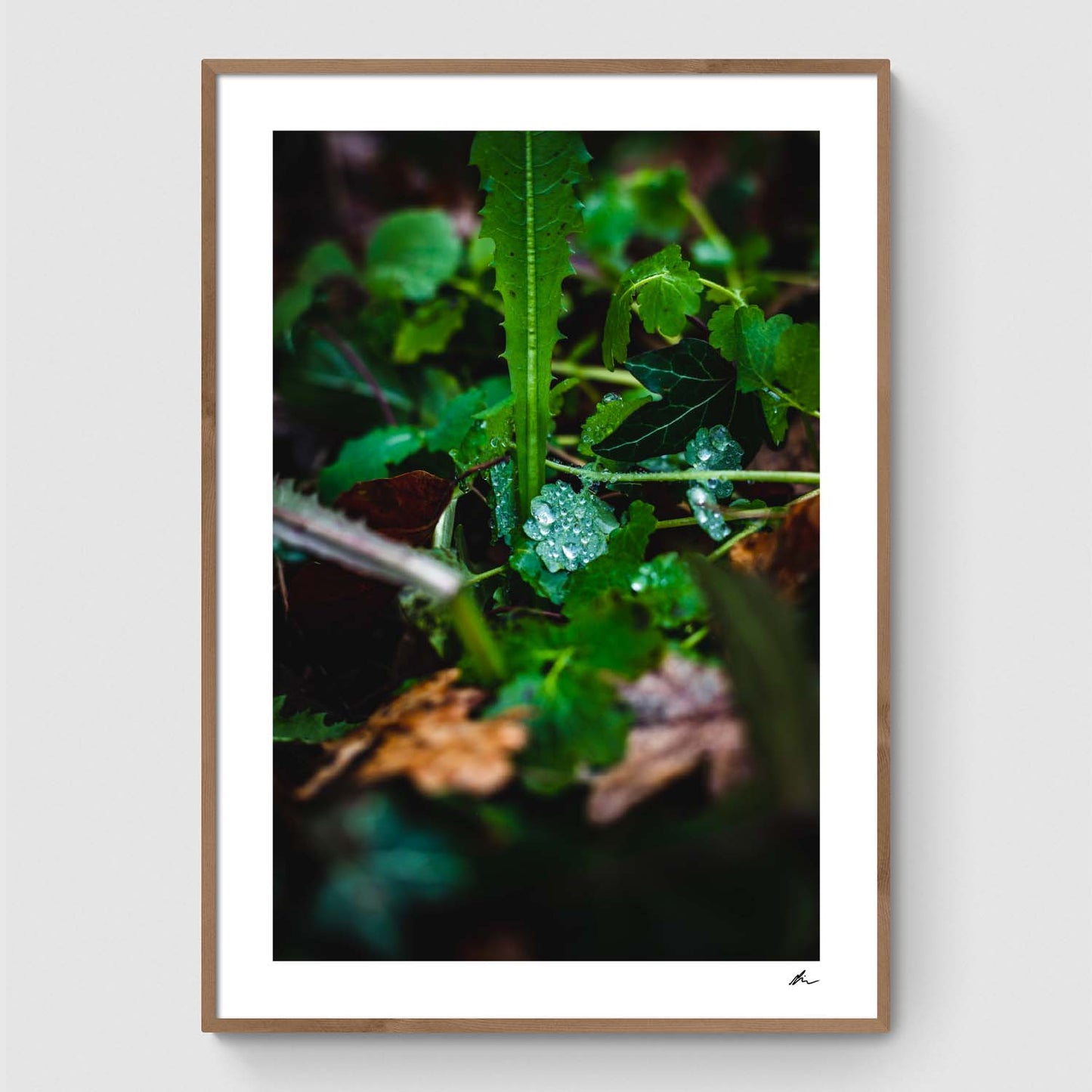 Dråber på blad