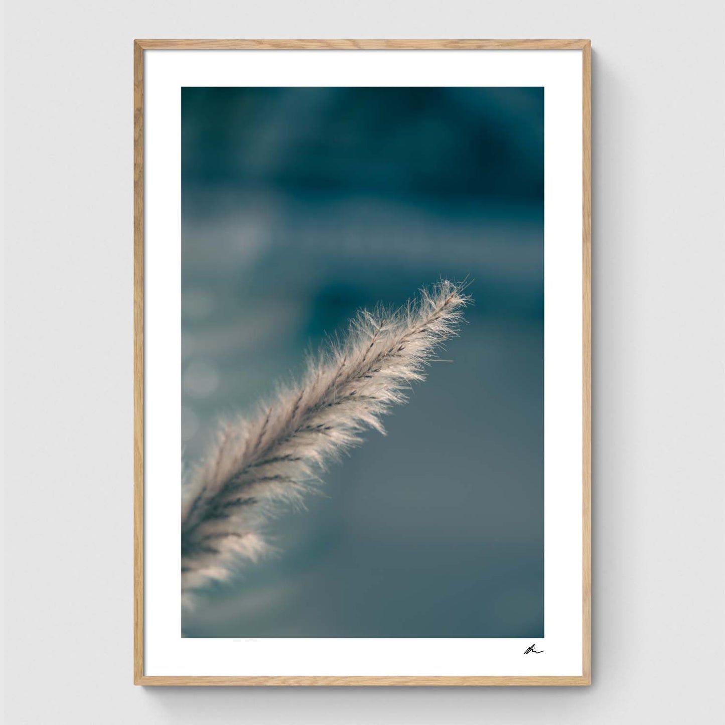 Pampas Grass