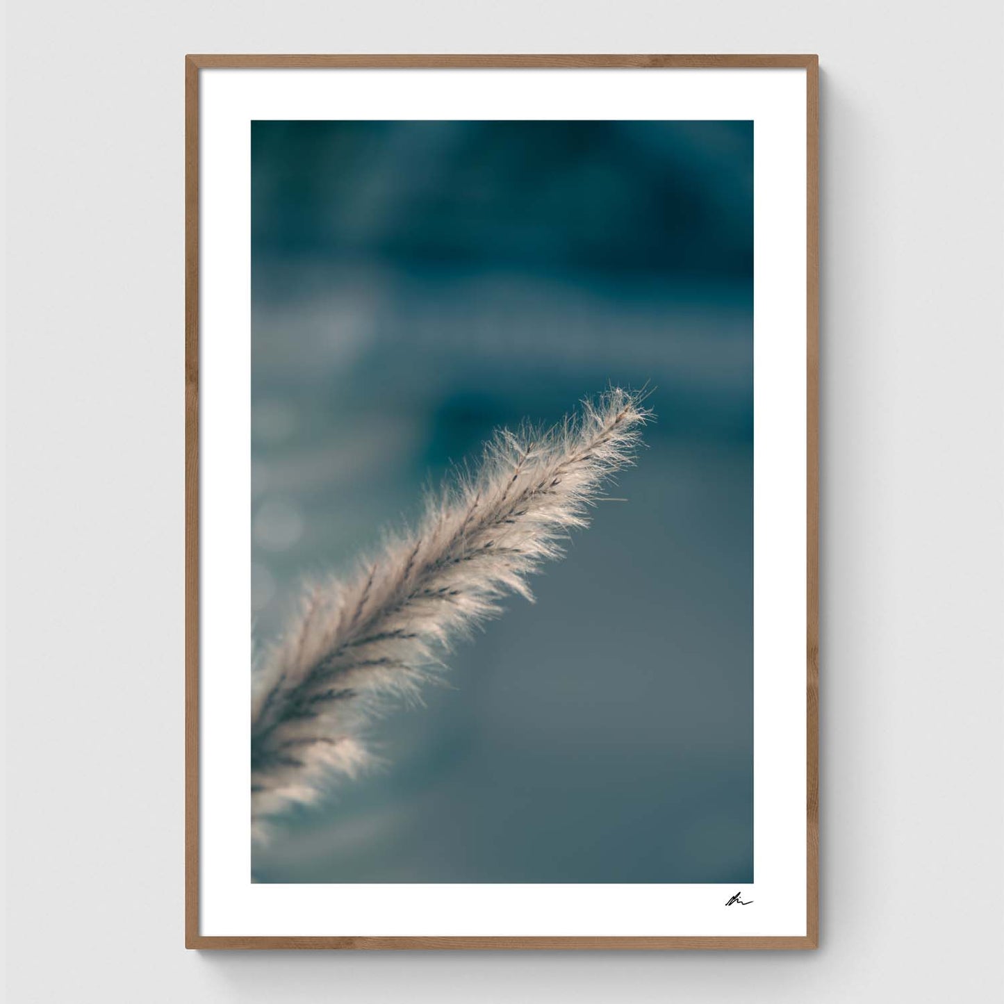 Pampas Grass