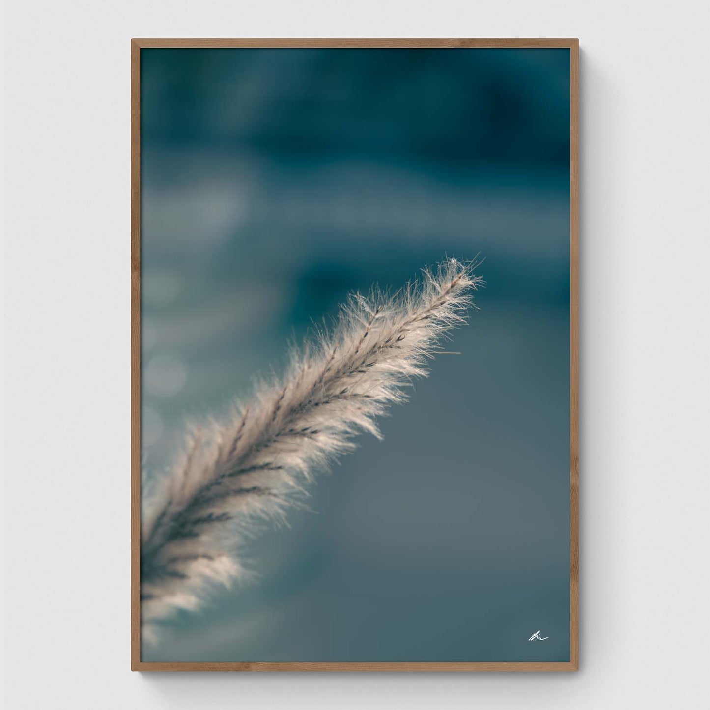 Pampas Grass