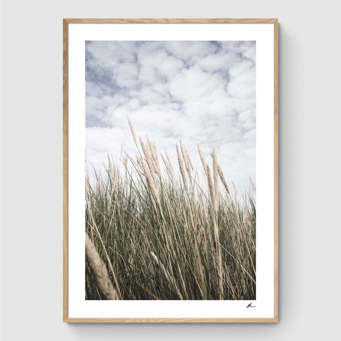 Reeds under a blue sky