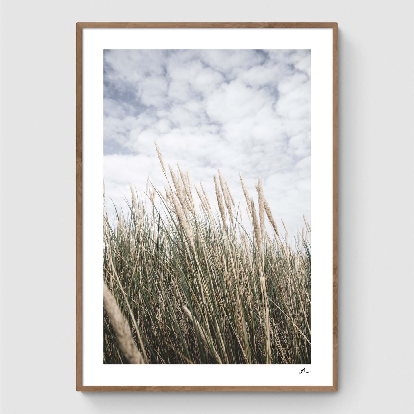 Reeds under a blue sky