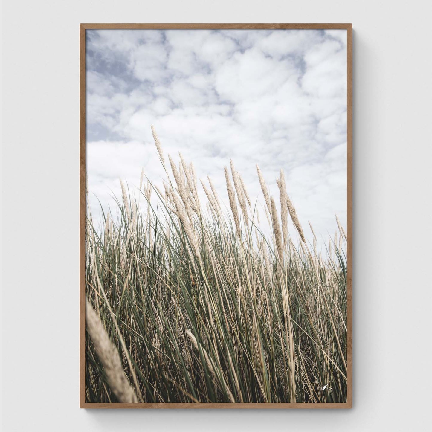 Reeds under a blue sky