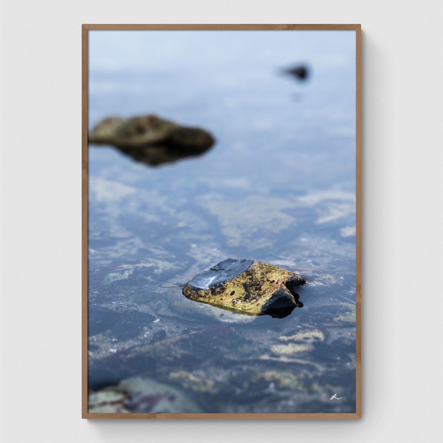 Stone in the water