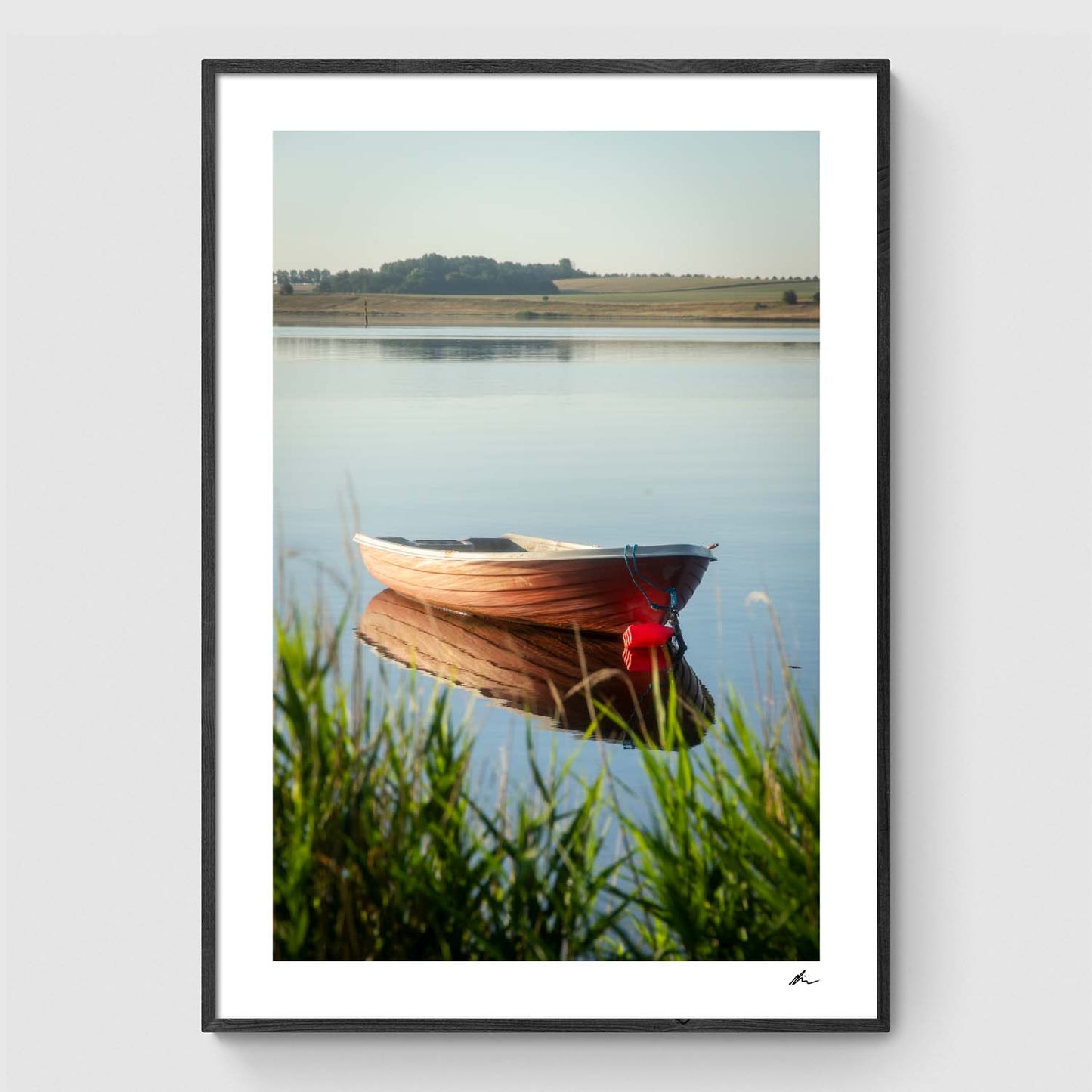 Reeds at sunset I