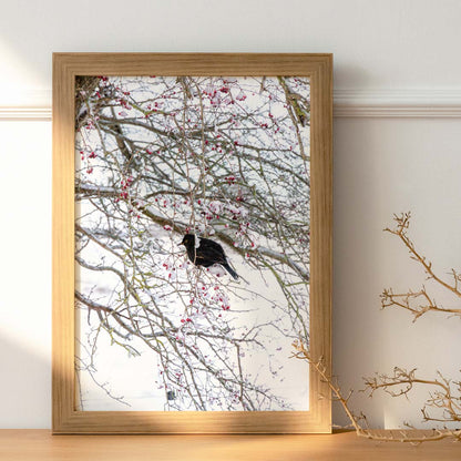 Naturplakater - Fugl i træ - By Boel