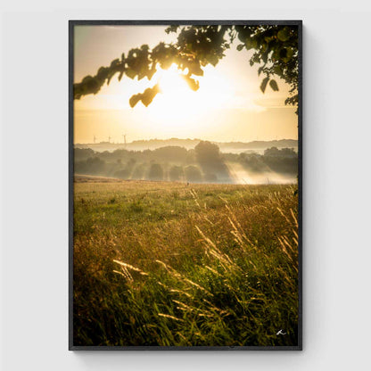 Reeds at sunset I