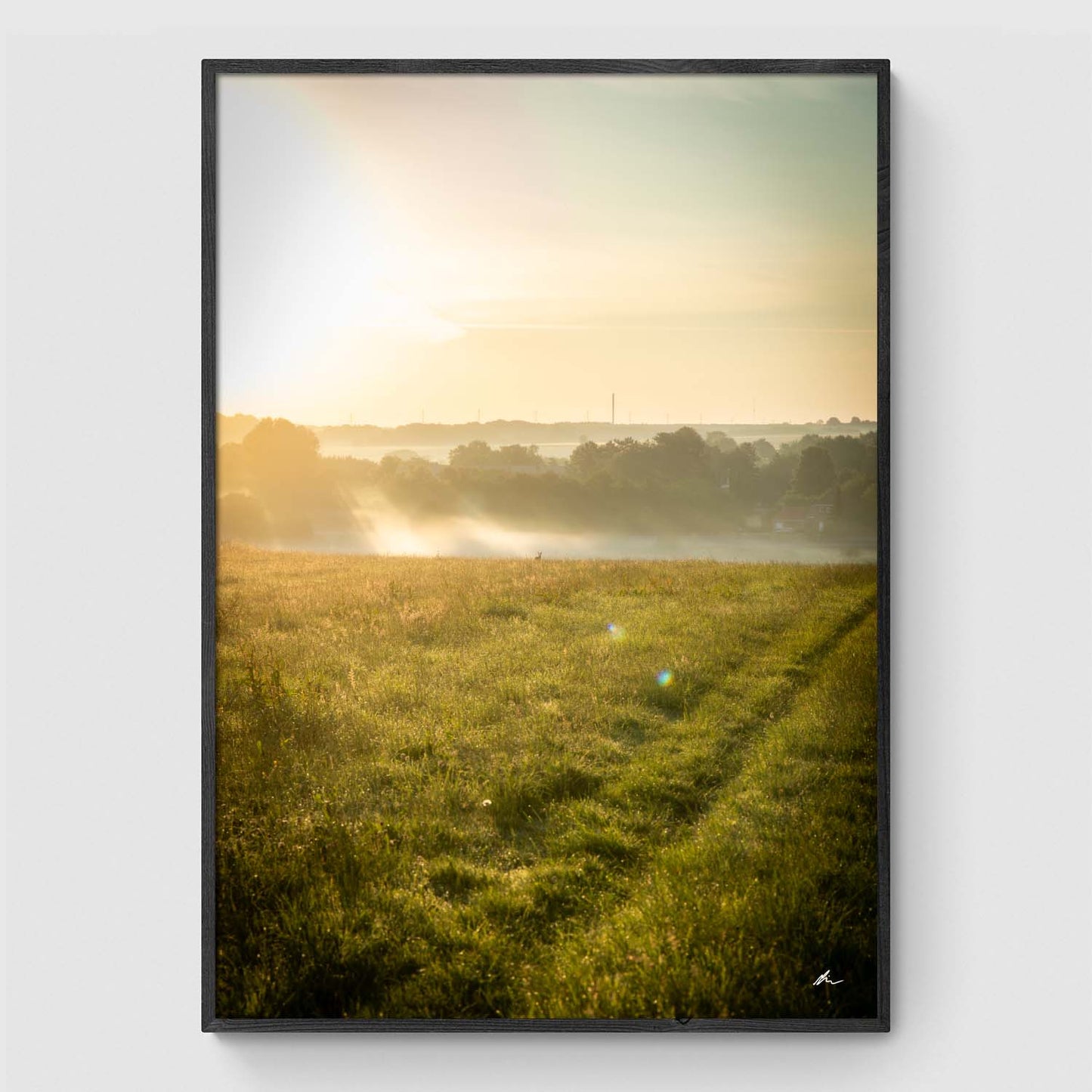 Reeds at sunset I