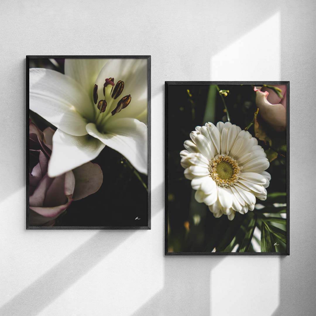 Plakatsæt: Blomster duo