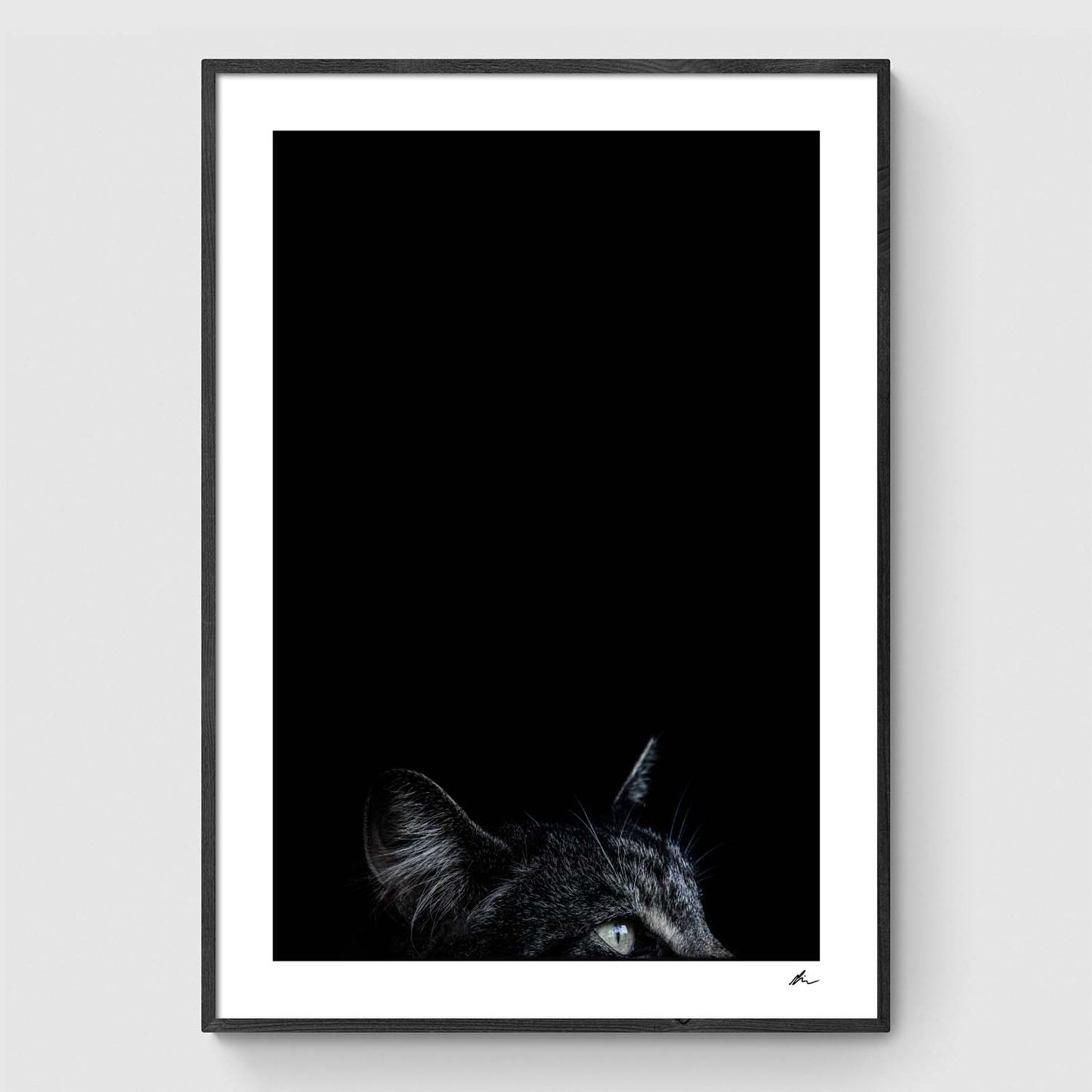Cat II