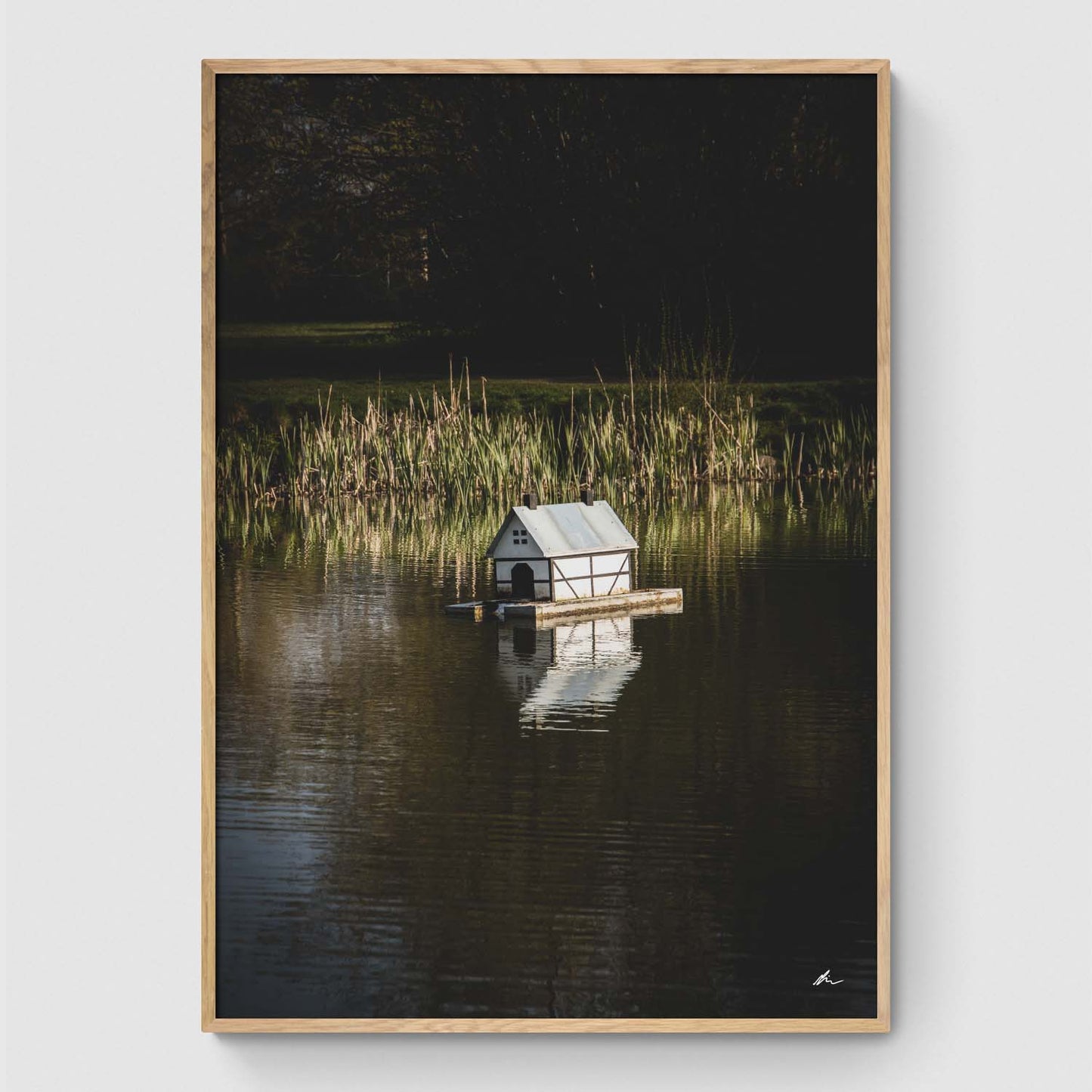 Duck house in the lake