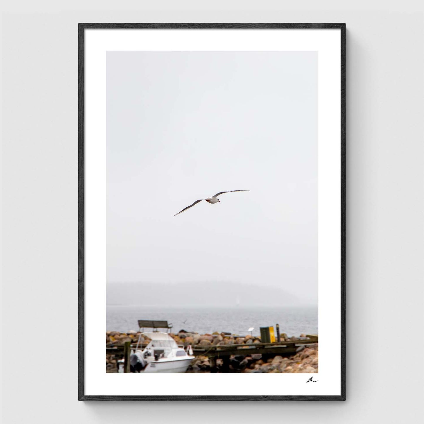 Seagull flying over harbour