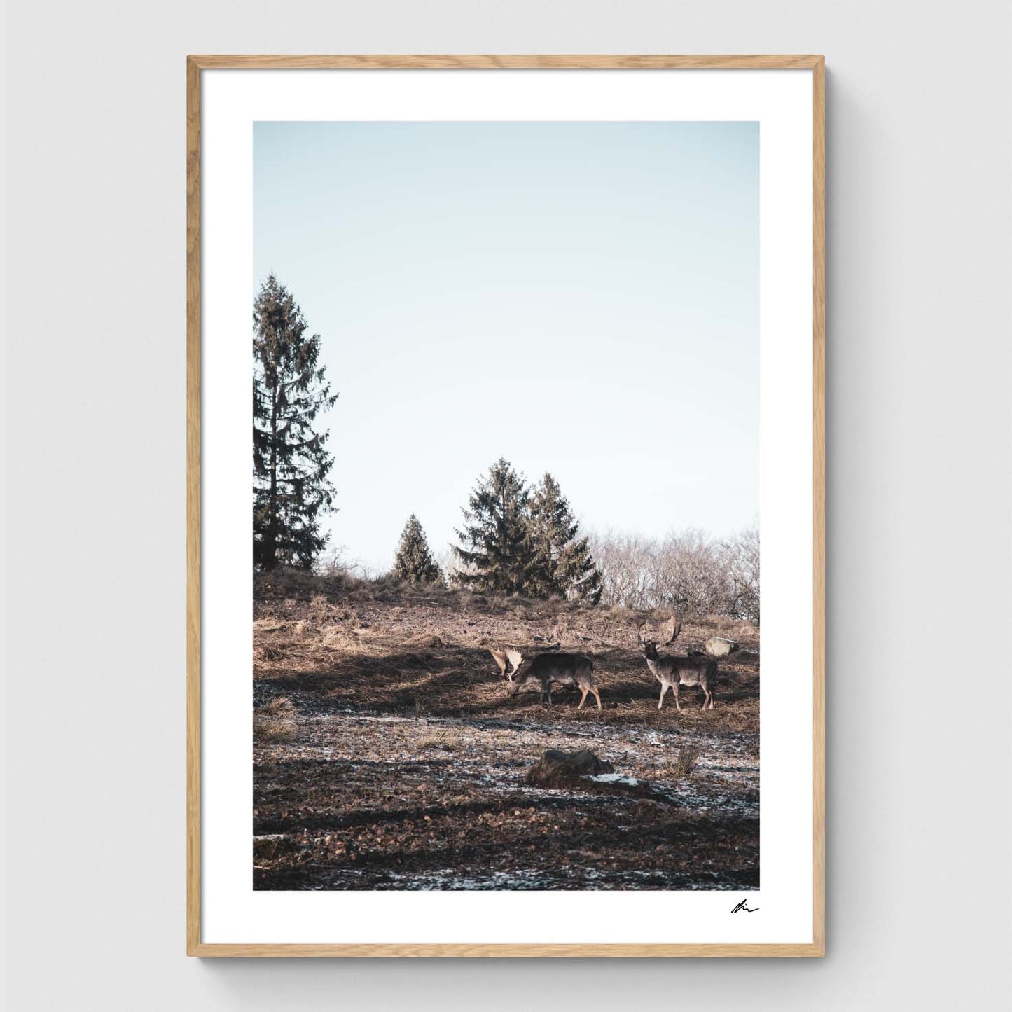 Poster Pack: Winter in the forest