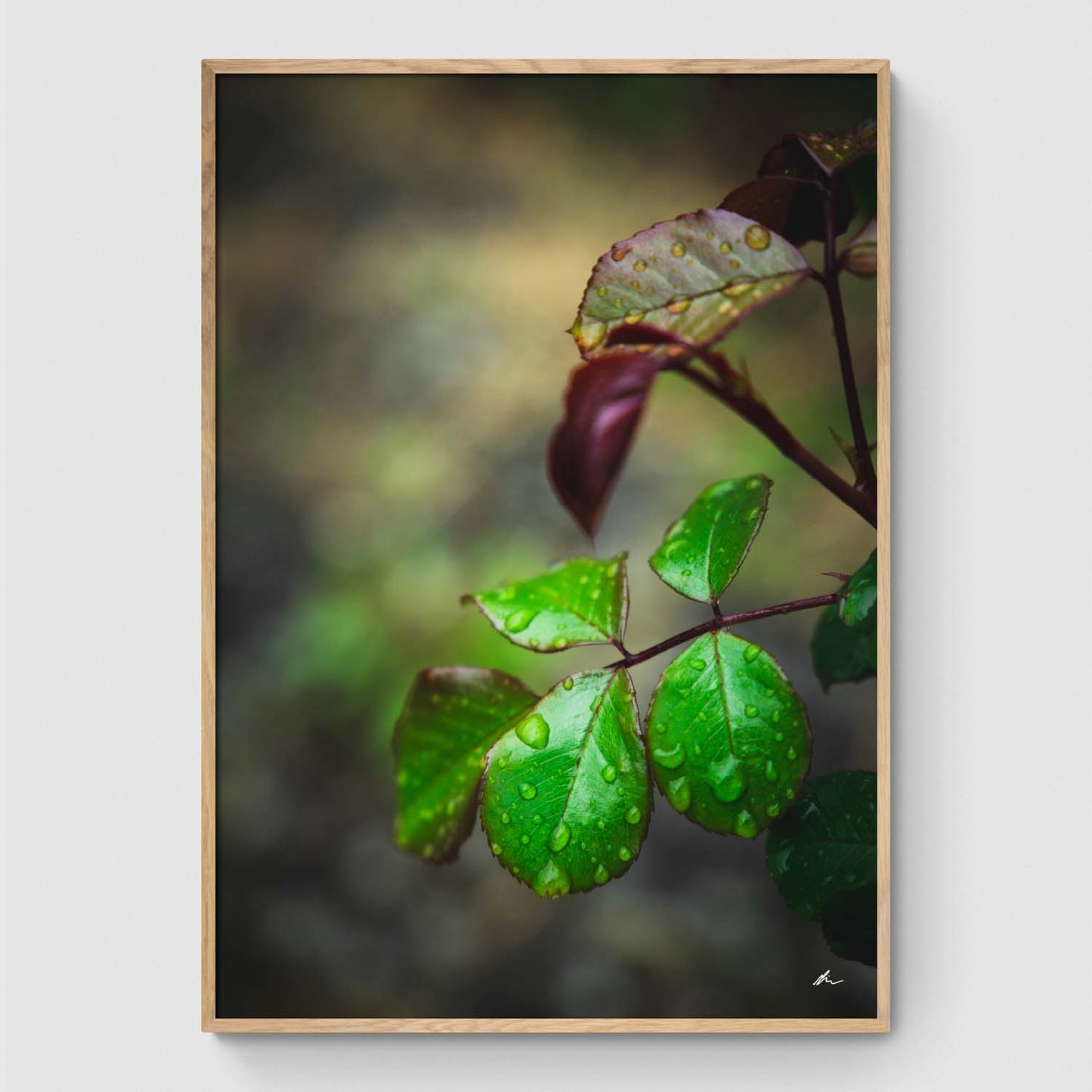 Poster Pack: Fresh nature wall