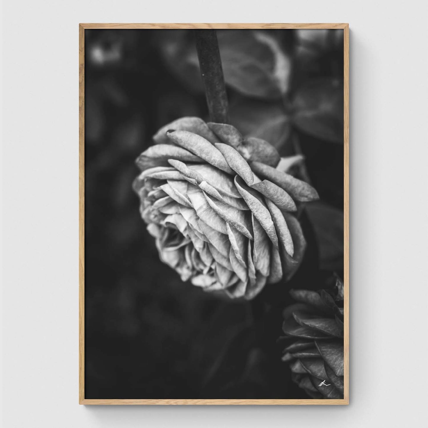 Poster Pack: Black & White duo