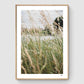 Poster Pack: Nature duo