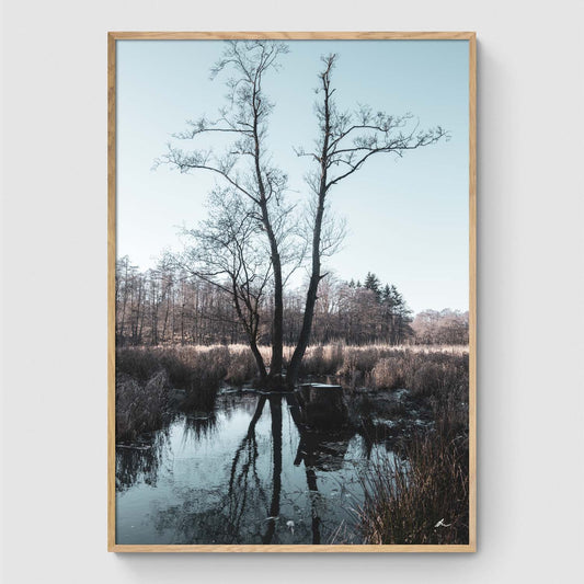 Tree by small lake