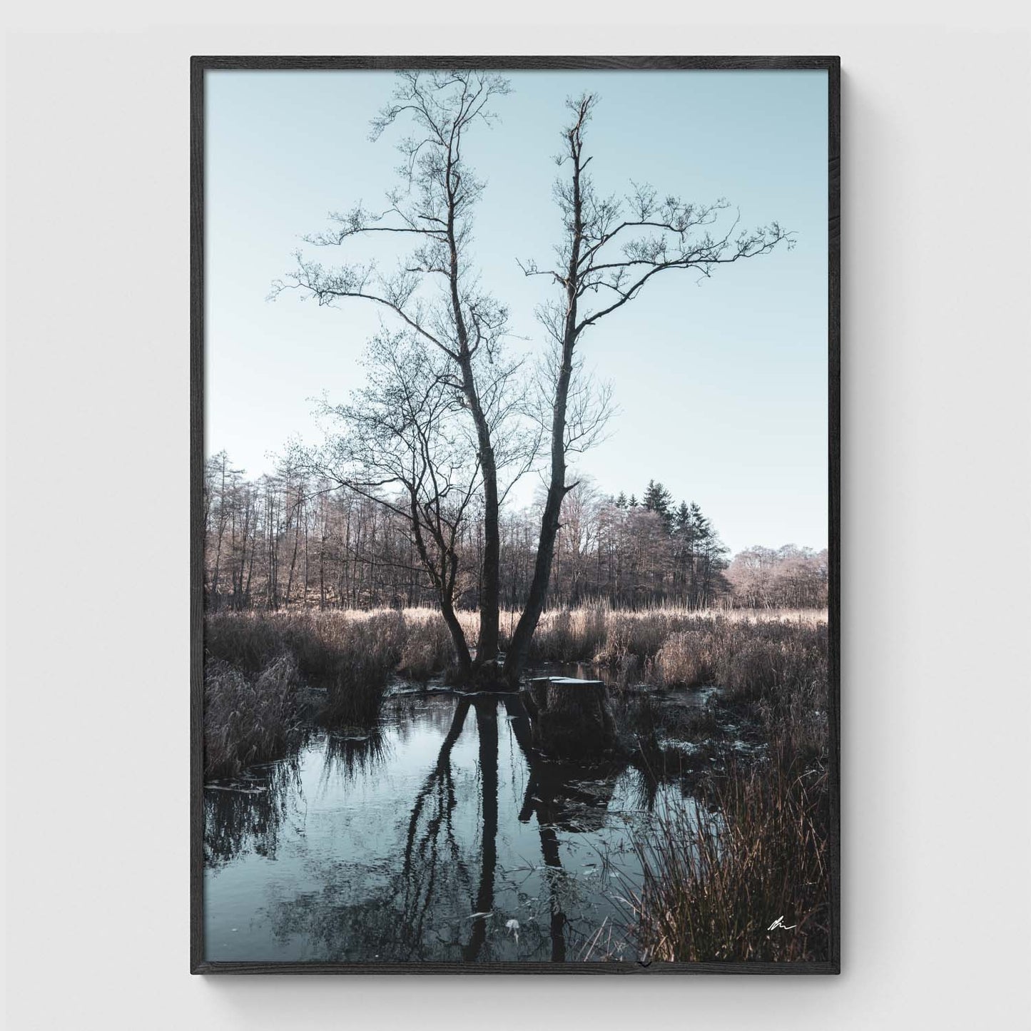 Træ ved lille sø