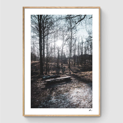 Plakatsæt: Vinter i skoven