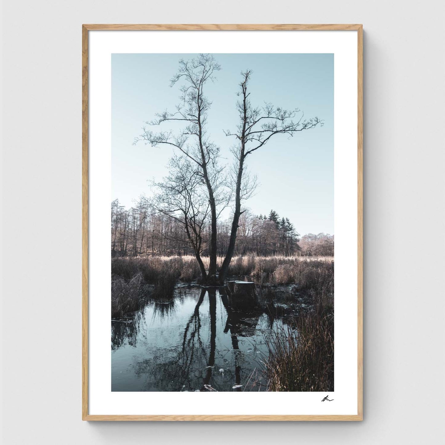 Tree by small lake