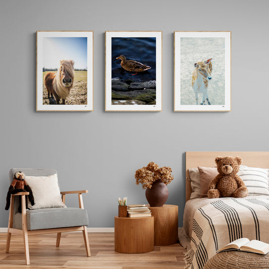 Poster Pack: Wild life trio