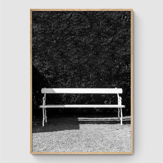 Bench in the sun